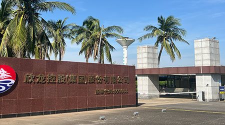 海南欣龙.jpg